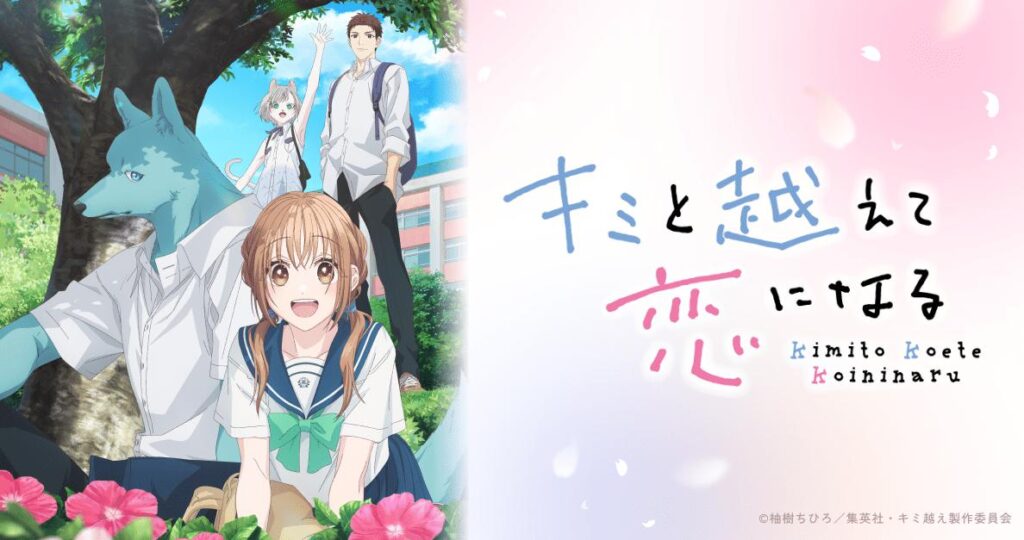 【キミと越えて恋になる】の2期はいつ？アニメの続きは原作・漫画の何巻から？（ネタバレ注意）【キミ越え】